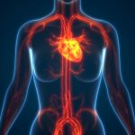 2020’s Most Effective Turmeric Curcumin Supplements