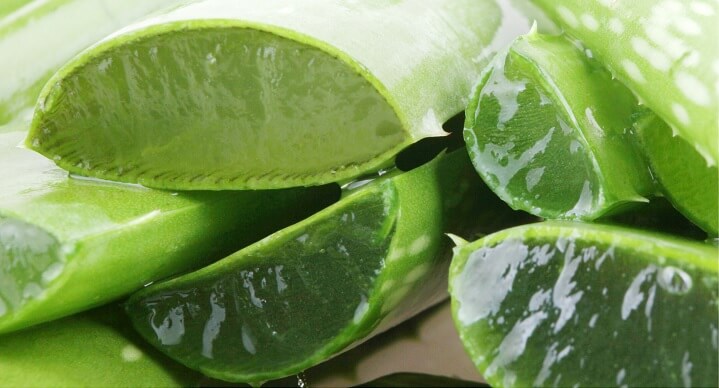 Top 5 Aloe Vera Gels of 2025 – A Buyer’s Guide